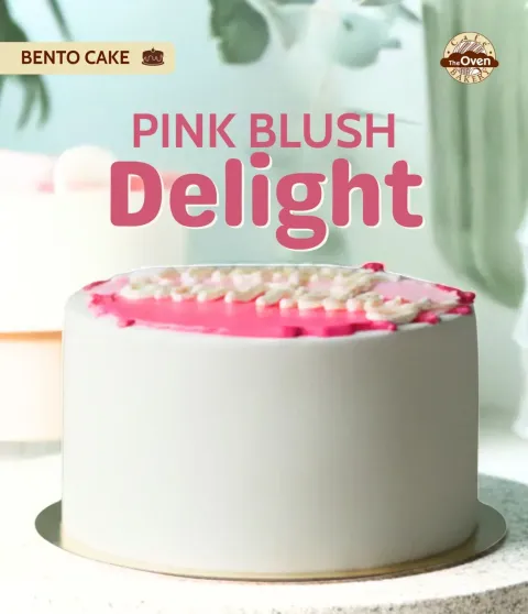 Pink Blush Delight | Bento Cake
